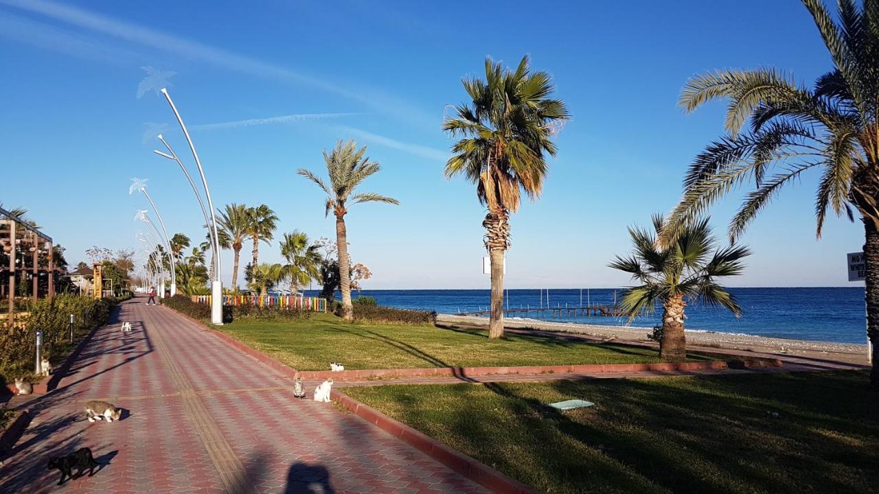 קמר Cristal Villalar מראה חיצוני תמונה